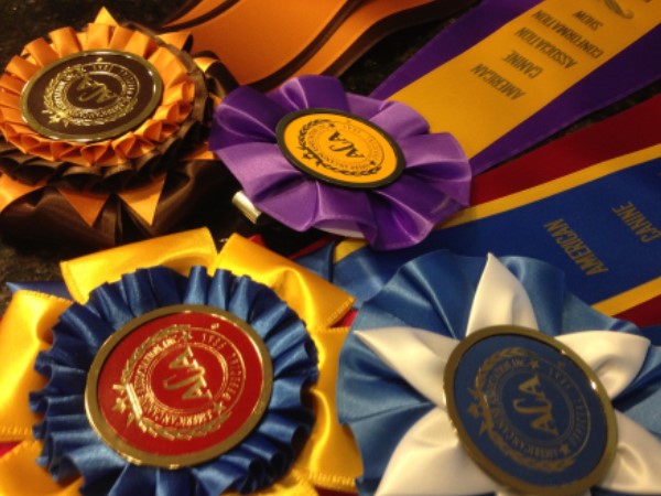 clearwater, kennels, cushing, mn, minnesota, ribboons, dog show, ribbons, clear, water